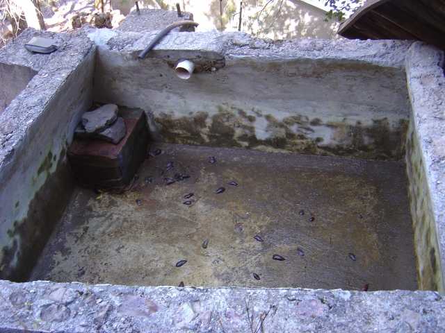 Photo of drinking water cistern.