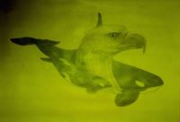 Thumbnail size of drawing of eagle and orca.