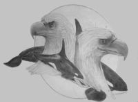 Thumbnail size drawing of eagles and orcas.